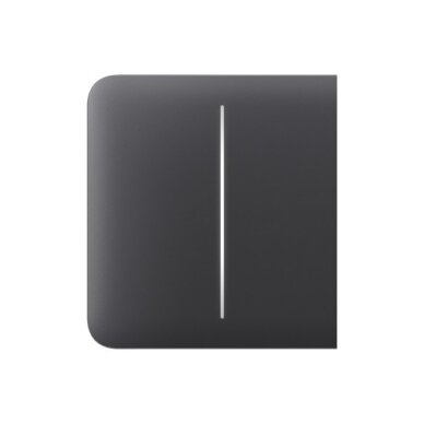 SideButton (2-gang) Graphite, Ajax SideButton (2-gang) Graphite, Ajax
